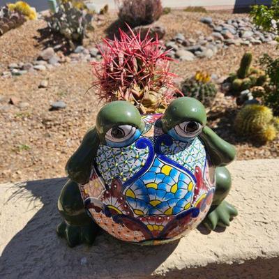 Outdoor Plants/Pottery/Art