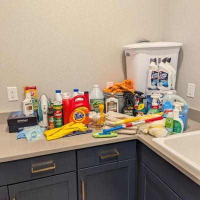 Lot #111 - Cleaning Supplies and Household Care Lot