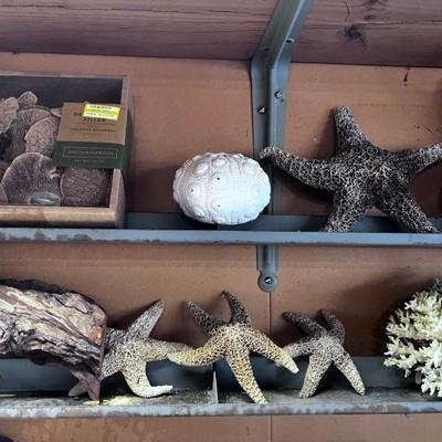 STARFISH