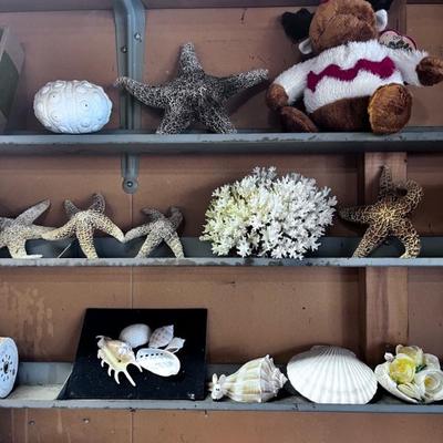 CORAL-STARFISH- SHELLS