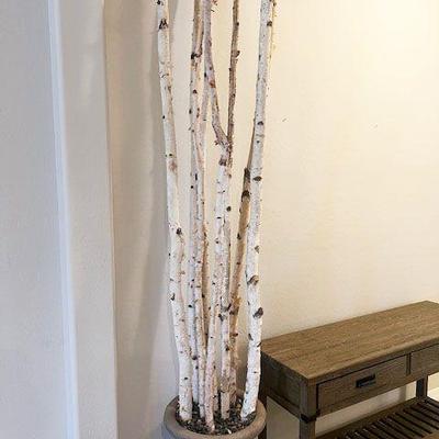 Birch Poles / Planter Decor