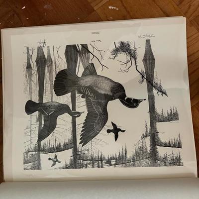 Glen gore print in portfolio