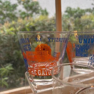 University of Florida UF Gators glasses