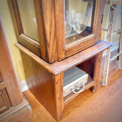 Vintage narrow display case, holding rock collection