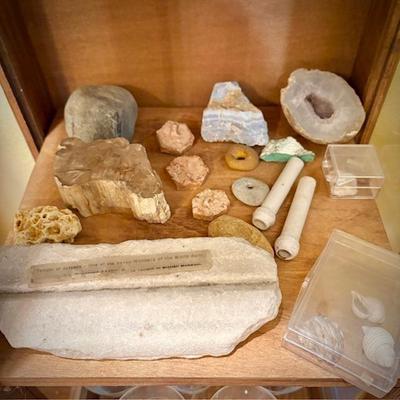 Vintage narrow display case, holding rock collection