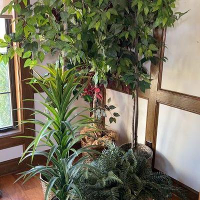X6 Faux Foliage Spanning From Small Table Top To Large Indoor Trees
