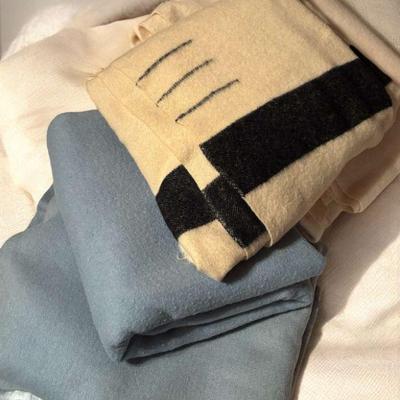 Hudson bay 3 point blanket others