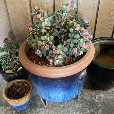 Shades of blue large outdoor pots