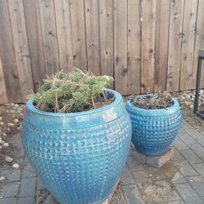 Gorgeous planters