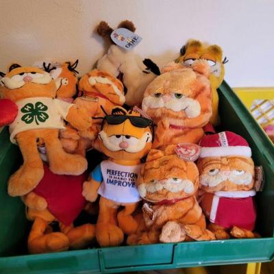 Ty Garfield