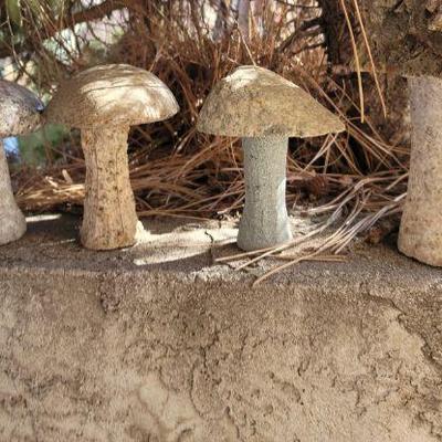 Decorative garden