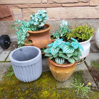 Terracotta & Ceramic Outdoor Pots