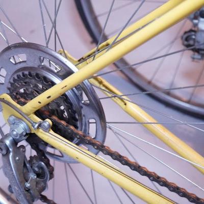 Vintage Schwinn Bikes
