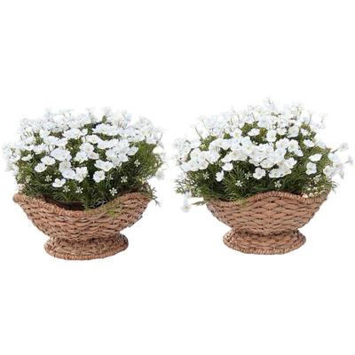 Pair of Water Hyacinth Planter or Bowls