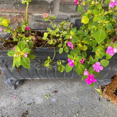 Pair Cement Planters $185