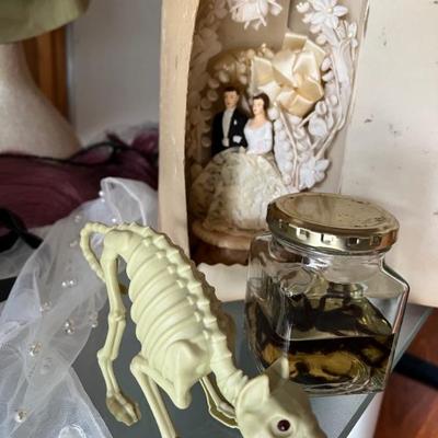 TARNATULA IN A JAR, DOG SKELETEN & CREEPY BRIDE & GROOM...
