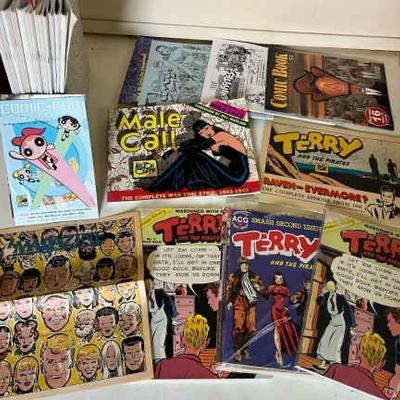 https://ctbids.com/estate-sale/34519/item/3878317/Terry-And-The-pirates-Comics-And-More