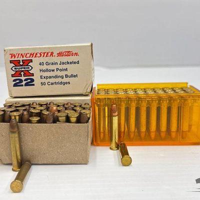 #1320 • (150) Rounds of .22 Ammo
