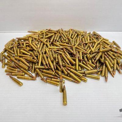 #1310 • Approx (500) Rounds of 223 FMJ Ammo
