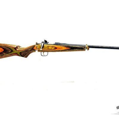 #800 • Rogue Rifle Co. Chipmunk .22 s-l-lr Bolt Action Rifle
