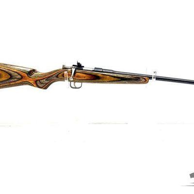 #802 • Rogue Rifle Co. Chipmunk .22 s-l-lr Bolt Action Rifle

