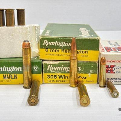 #1404 • (113) Rounds of Mixed Ammo
