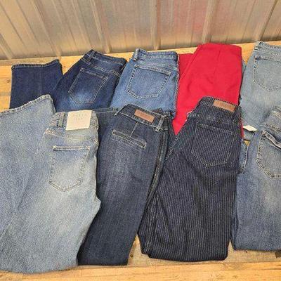 #3152 • (8) Pairs of High-End Women's Jeans
