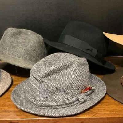 Stylish hat collection assorted fedoras and wool hats