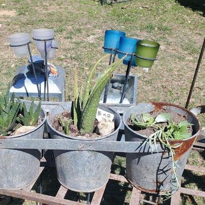 3 pot galvanized tine planter with plants 