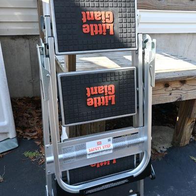 Little Giant Step Ladder