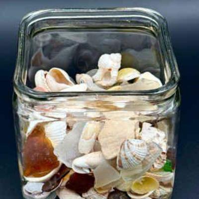 Seashells & Seaglass Lot
