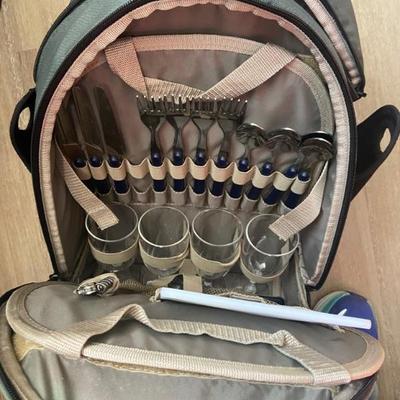 REI picnic backpack 