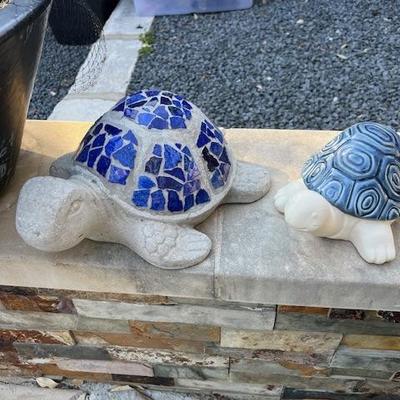 Turtles!