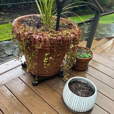 Various pots