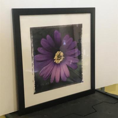 Floral Framed