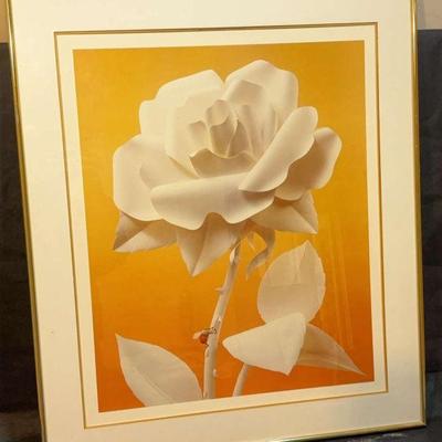1981 framed print by reinhard