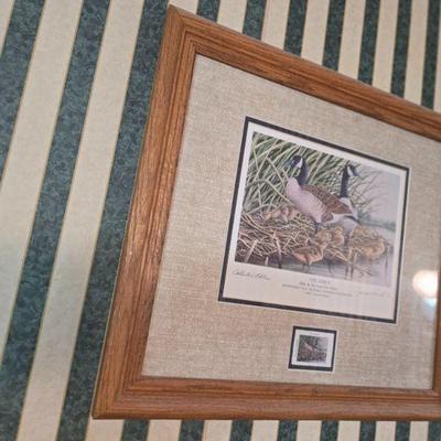 Wildlife Duck Print by Richard Clifton - Framed
•	 A beautifully framed wildlife print by Richard Clifton, showcasing colorful ducks...