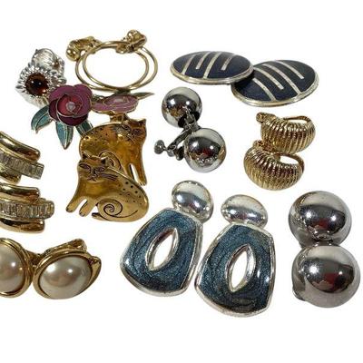 JAKA606 Berebi , Trifari And More Clip Ons	This lot includes laurel Burch, trifari, Napier, berebi,Aldo cipollo and bergère clip on...