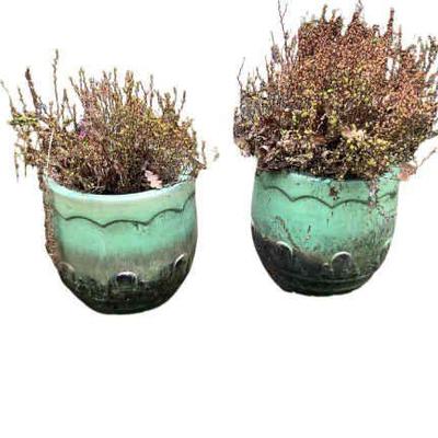 JAKA673 2 Large Green And Black Flower Pots With Plants	Approx. 15"H X 15"W. Very heavy. One drainage hole in center on each pot
