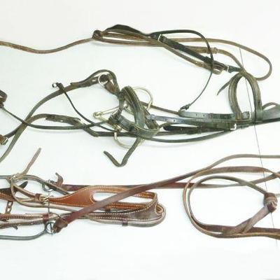 horse reins, 2 w/bits, equine lot