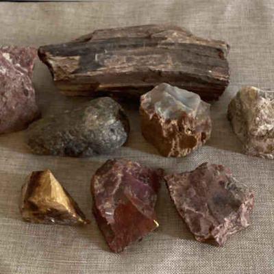 Agates & Petrified Wood