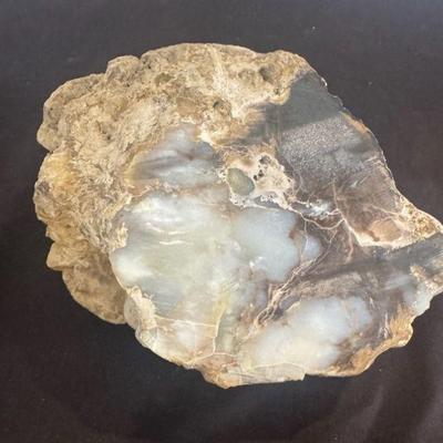 Large Petrified Agate