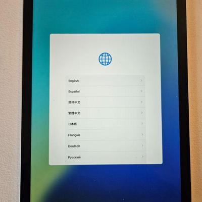iPad 10 A2696 Like New