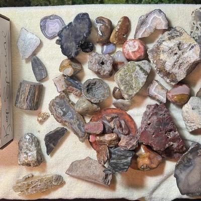Fossils, Quartz, Crystals, And More! 