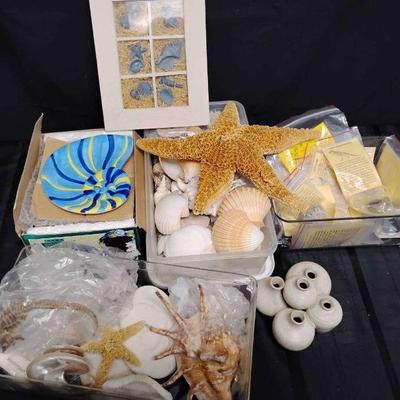 Ct768 mystery sea life