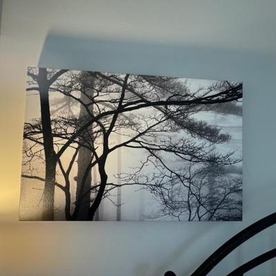Black and white forest art measures 20” x 30” 