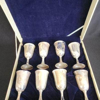 PPE073 - Silver Plated Goblet Set with Case 