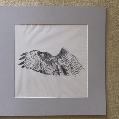 PPE293 Black White Sketch Of Eagle 