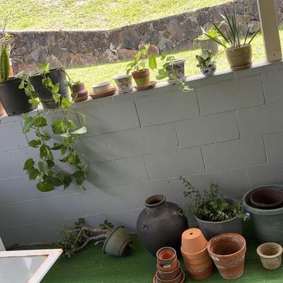 PPE345 Out Door Plants 