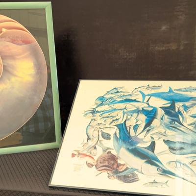 “International Game Fish of the World”, Nautilus Shell
